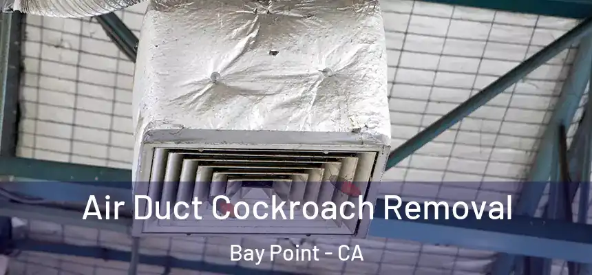  Air Duct Cockroach Removal Bay Point - CA