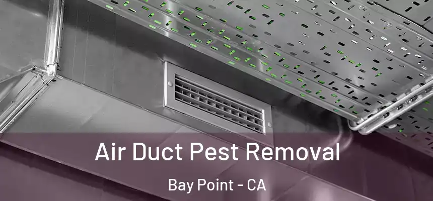  Air Duct Pest Removal Bay Point - CA