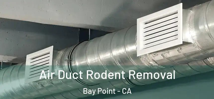  Air Duct Rodent Removal Bay Point - CA