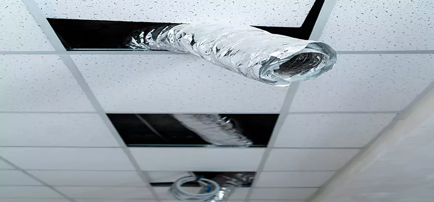 Affordable HVAC Sanitizing After Pest Removal in Bay Point