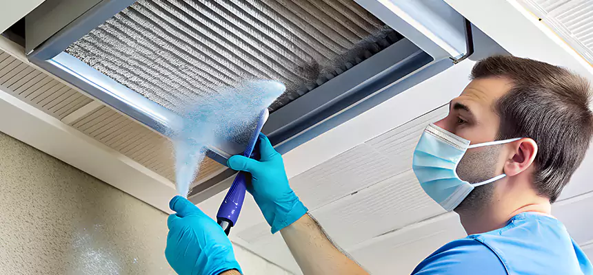 Proactive Dryer Vent & Auxiliary Duct Pollen Cleanup in Bay Point, CA