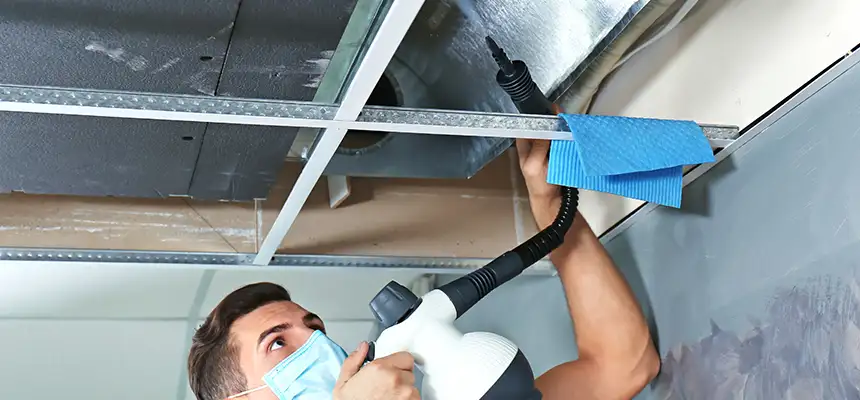 Our Air Duct Rodent Removal Services in Bay Point, CA