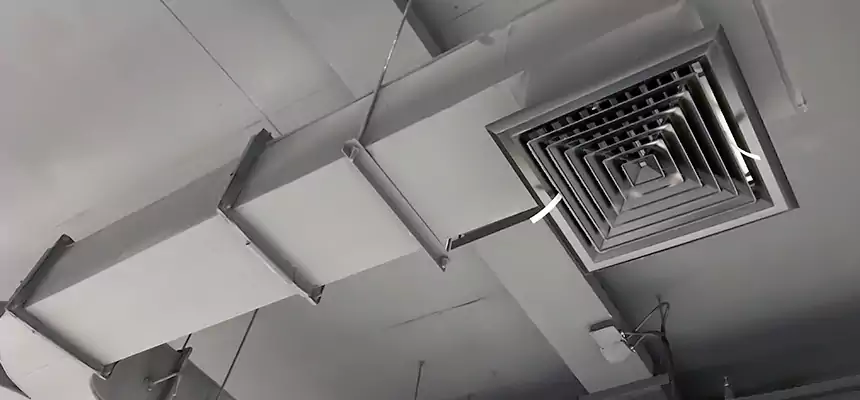 Restorative Allergy Relief Vent Cleaning – Coil, Blower & Housing Detail in Bay Point