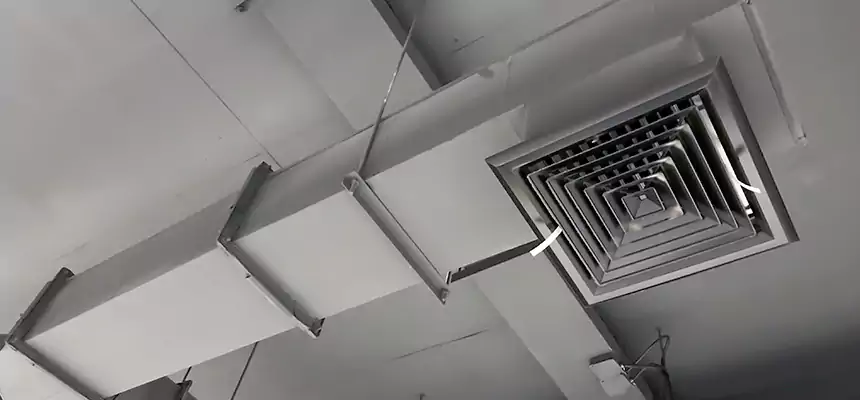 Our Rodent Droppings In Vents Services in Bay Point, CA