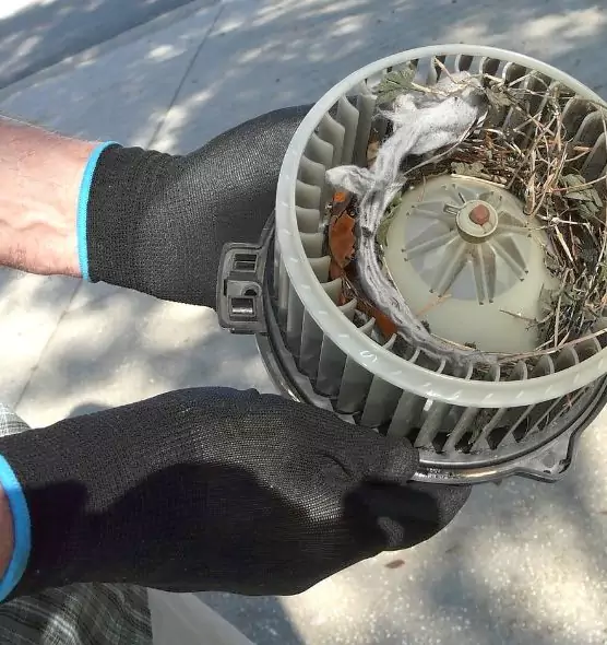 About Air Duct Mice Removal in Bay Point, CA