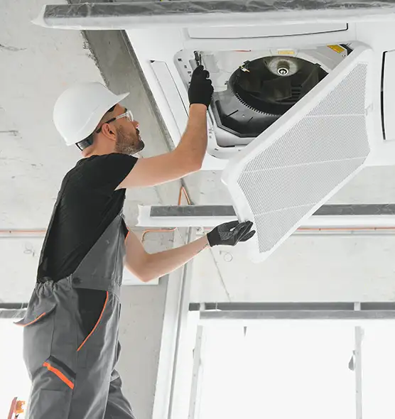 About Air Duct Rodent Removal in Bay Point, CA