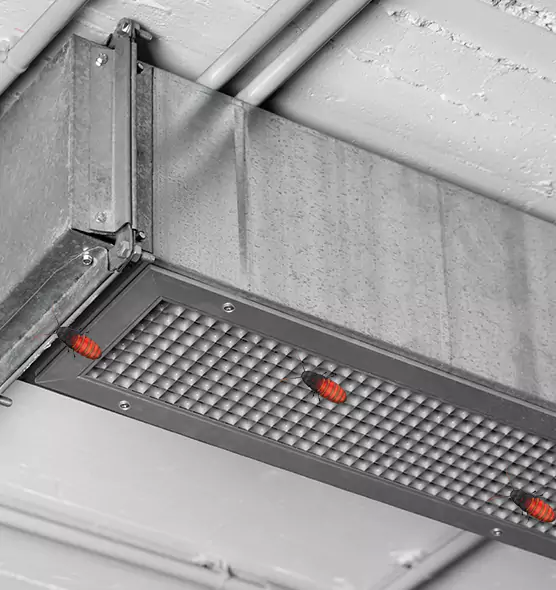 Affordable Insect Removal from Air Ducts in Bay Point, CA