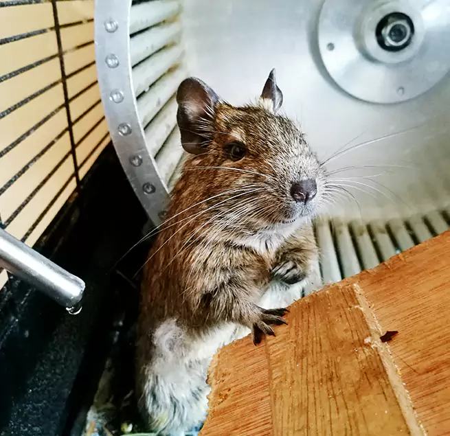 Why Homeowners & Businesses Trust Us Bay Point, CA